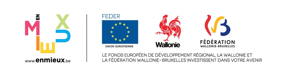 logo FEDER+wallonie+FWB